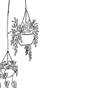 Meet your Posher, Beverly